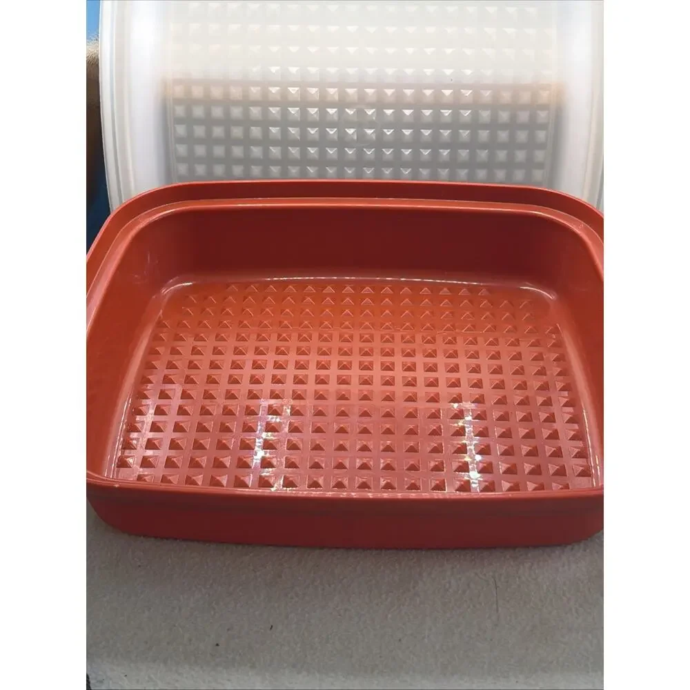 Tupperware Season 'N Serve Meat Keeper Marinade Container w/Lid Paprika 1294-6